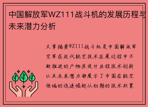 中国解放军WZ111战斗机的发展历程与未来潜力分析